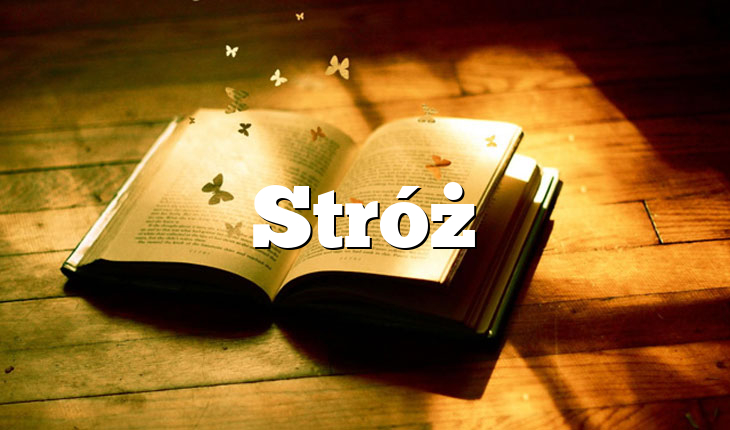 Stróż