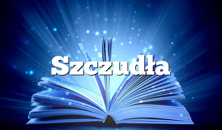 Szczudła