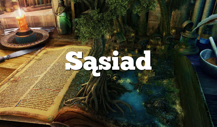 Sąsiad