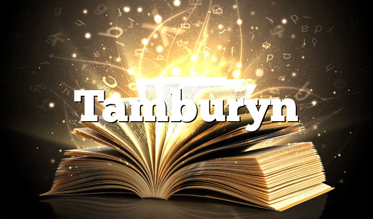 Tamburyn