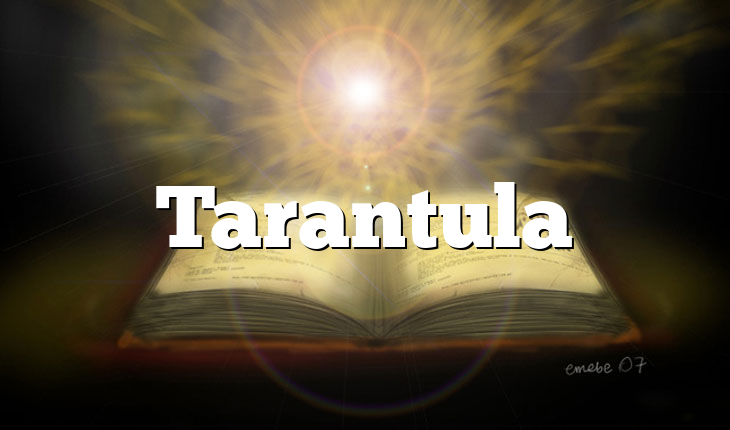 Tarantula
