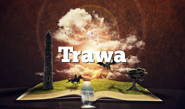 Trawa