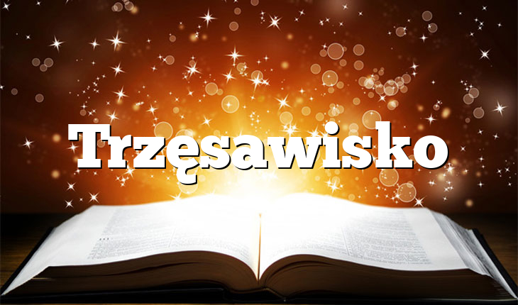 Trzęsawisko