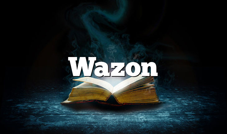 Wazon
