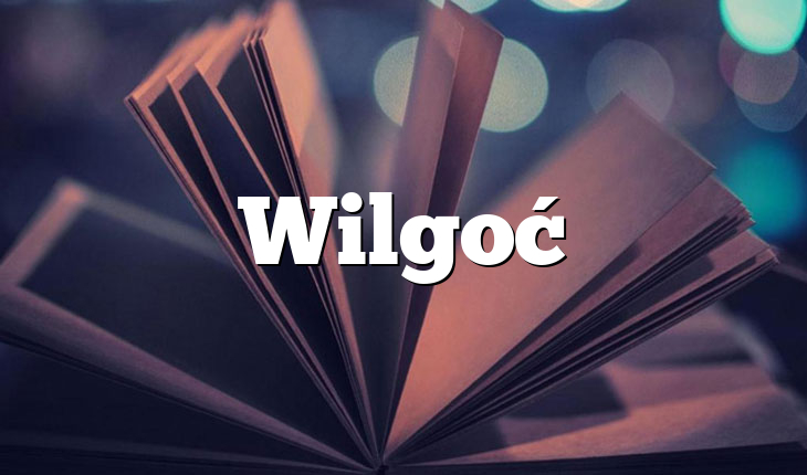 Wilgoć
