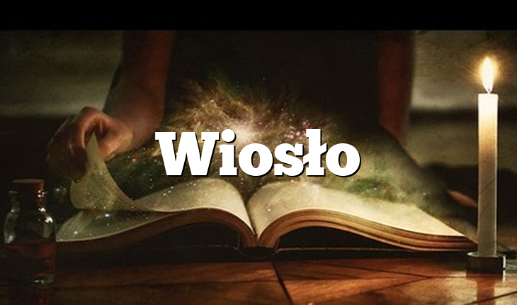 Wiosło