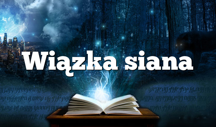 Wiązka siana