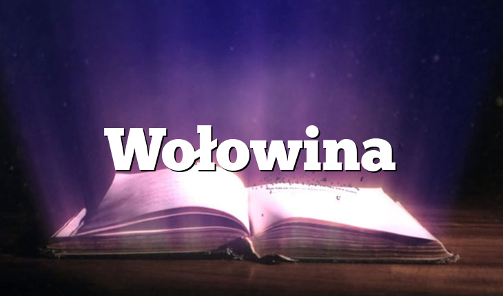 Wołowina