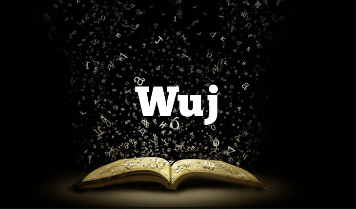 Wuj