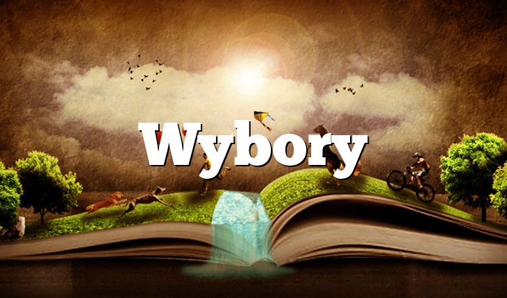 Wybory