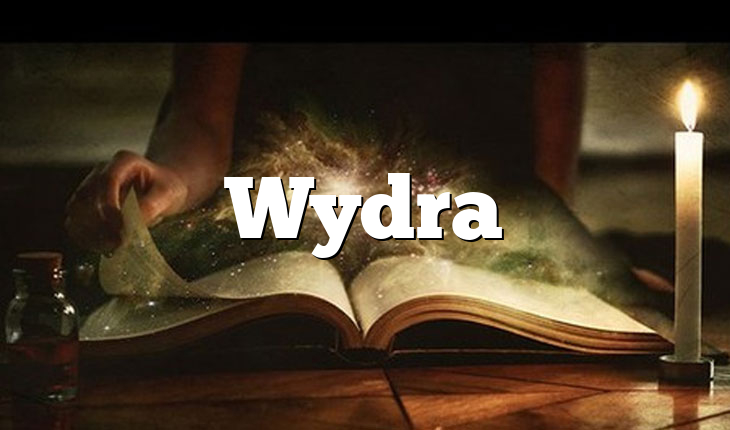 Wydra