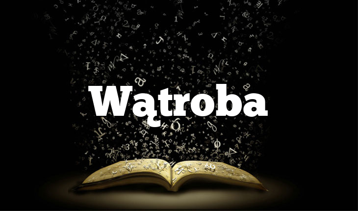 Wątroba