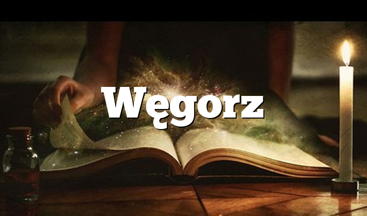 Węgorz