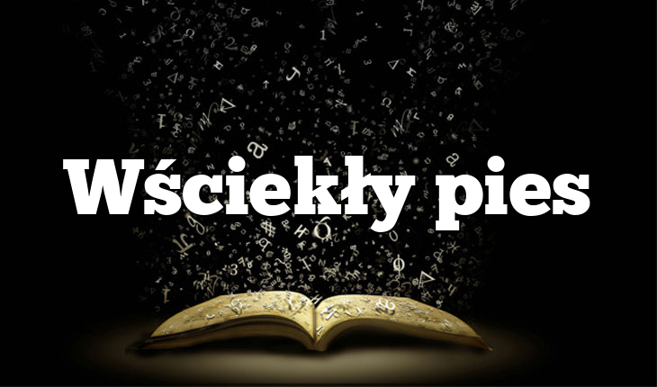 Wściekły pies