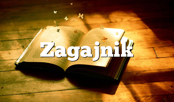 Zagajnik
