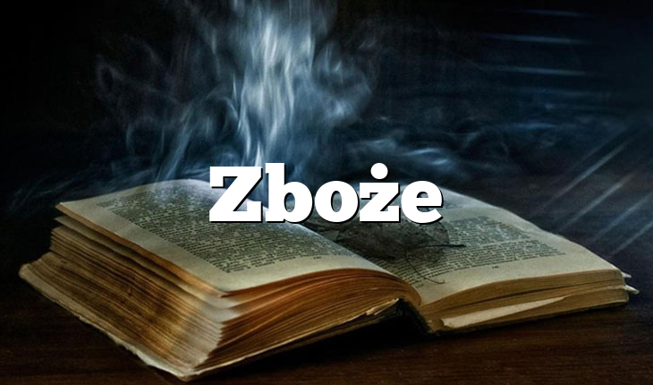 Zboże