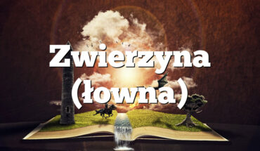 Zwierzyna (łowna)
