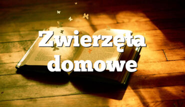 Zwierzęta domowe