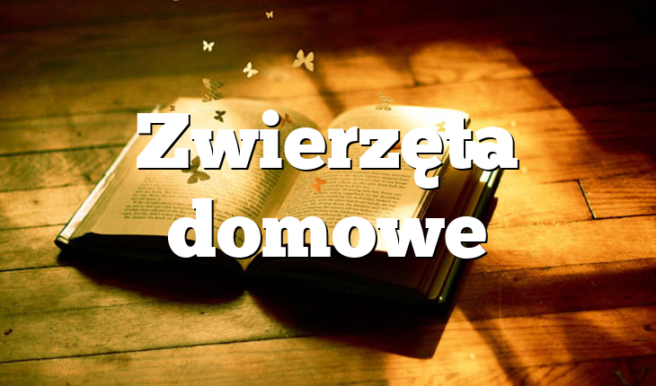 Zwierzęta domowe