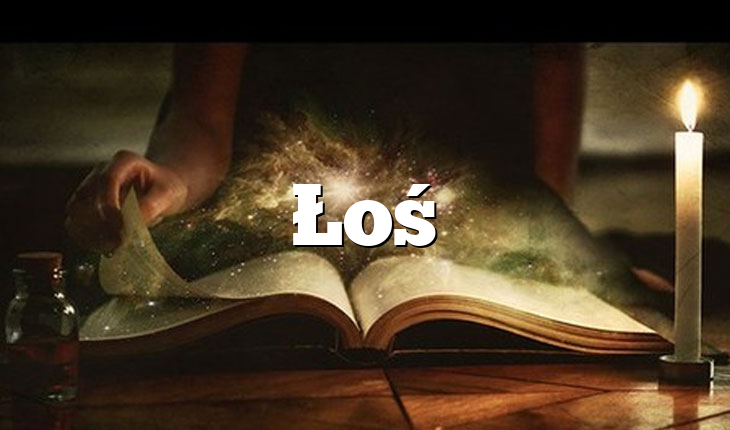 Łoś