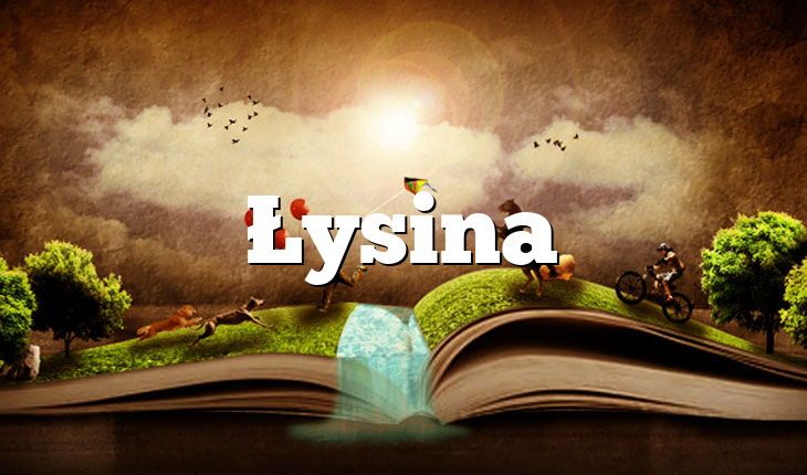 Łysina