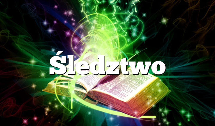 Śledztwo