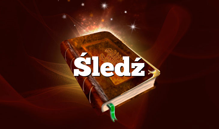 Śledź