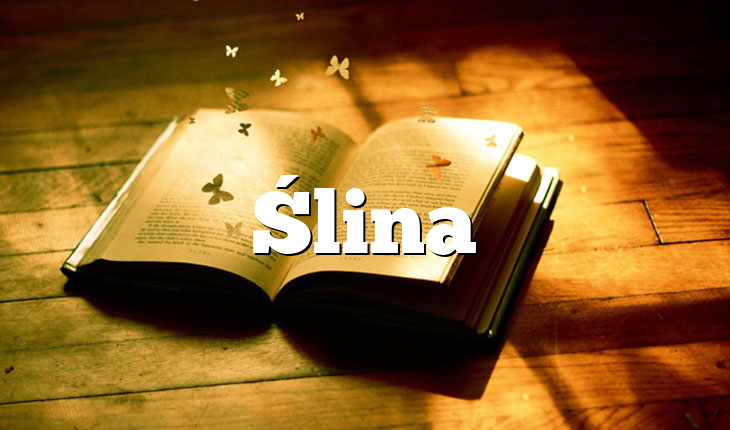 Ślina