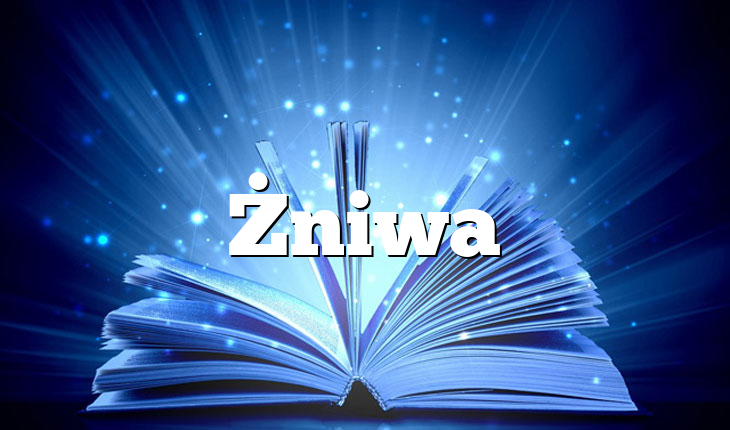 Żniwa
