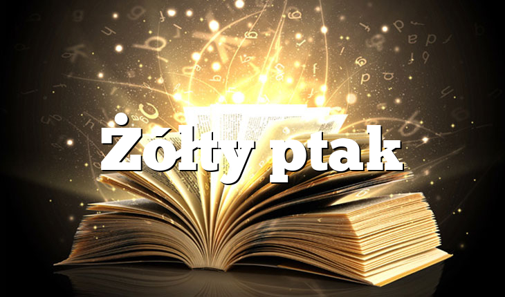 Żółty ptak