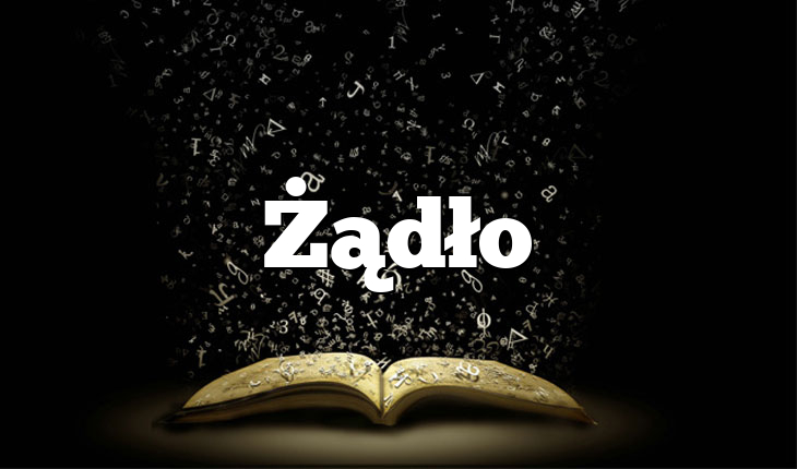 Żądło